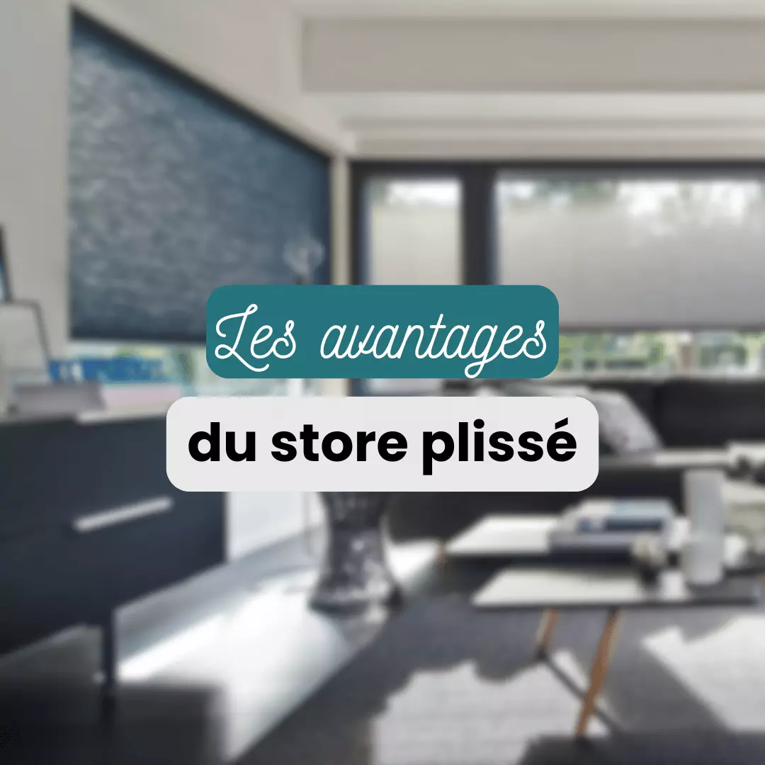 Les avantages du store plissé